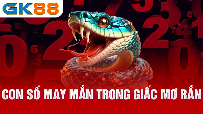 4-Con-so-may-man-trong-giac-mo-ran-gk88_2